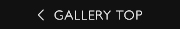 GALLERY TOP